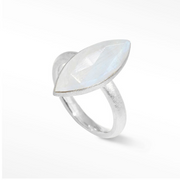 Queen's Claw Moonstone Silver Ring