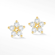 Buttercup Gold 14k Stud Earrings